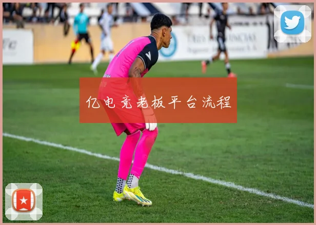 亿电竞老板平台流程