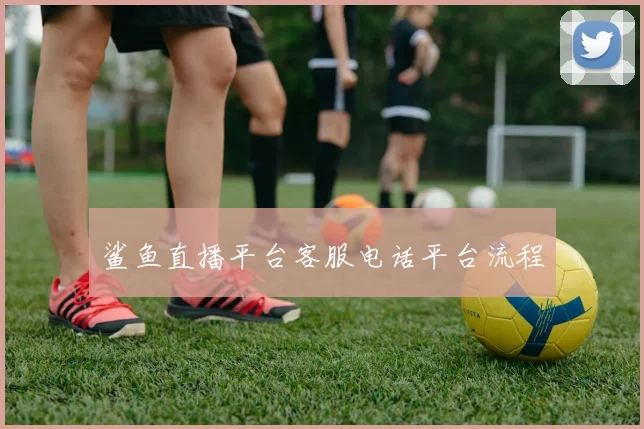 鲨鱼直播平台客服电话平台流程