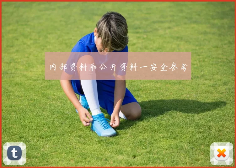 内部资料和公开资料一安全参考