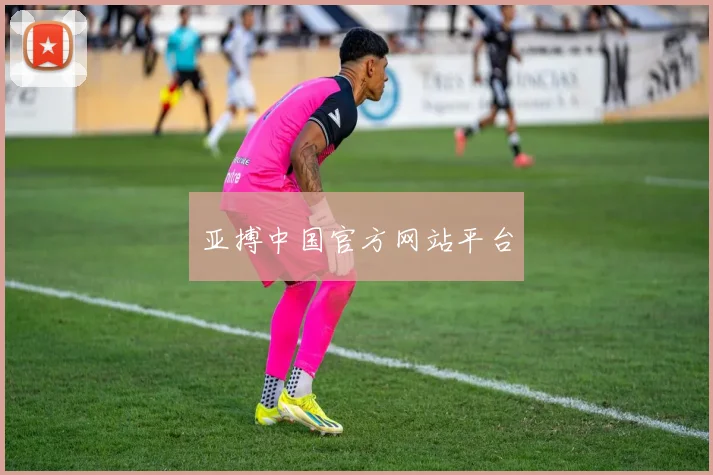 亚搏中国官方网站平台