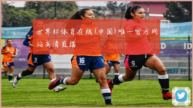 世界杯体育在线(中国)唯一官方网站高清直播
