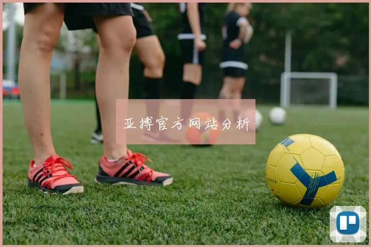 亚搏官方网站分析
