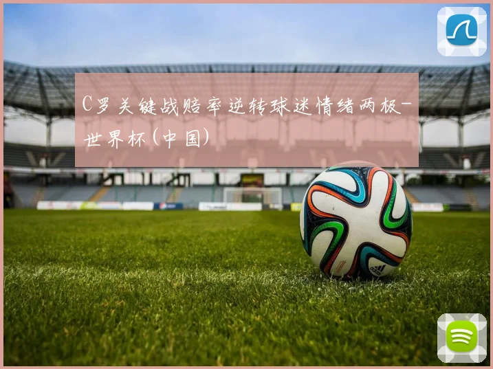 C罗关键战赔率逆转球迷情绪两极-世界杯(中国)