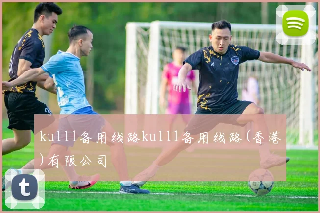 ku111备用线路ku111备用线路(香港)有限公司