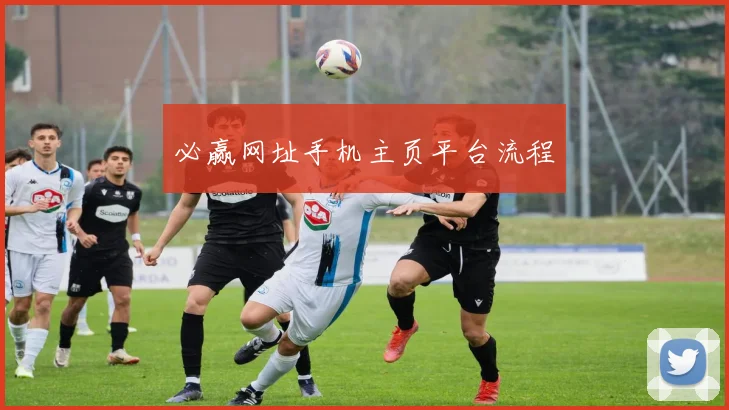 必赢网址手机主页平台流程