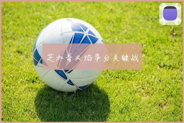 芝加哥火焰争分关键战
