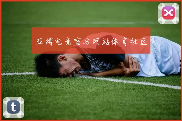 亚搏电竞官方网站体育社区