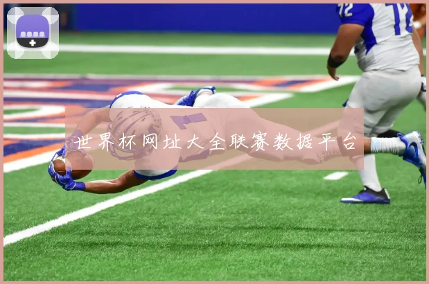 世界杯网址大全联赛数据平台