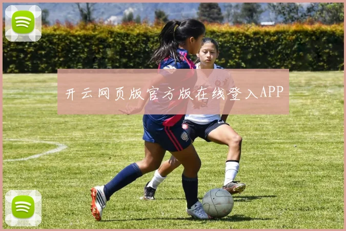开云网页版官方版在线登入APP