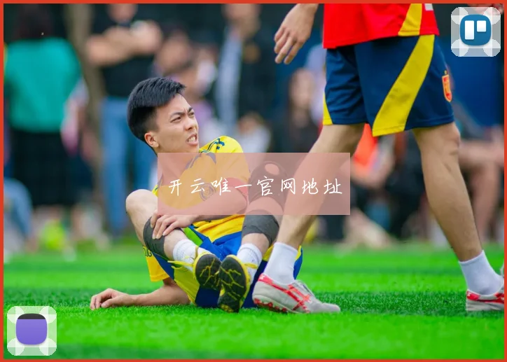 开云唯一官网地址