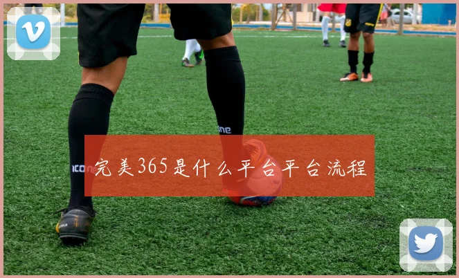 完美365是什么平台平台流程