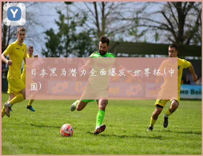 日本黑马潜力全面爆发-世界杯(中国)