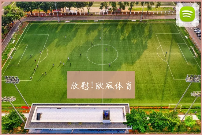 欣慰!欧冠体育
