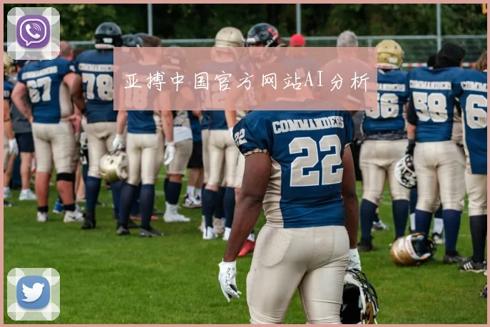 亚搏中国官方网站AI分析