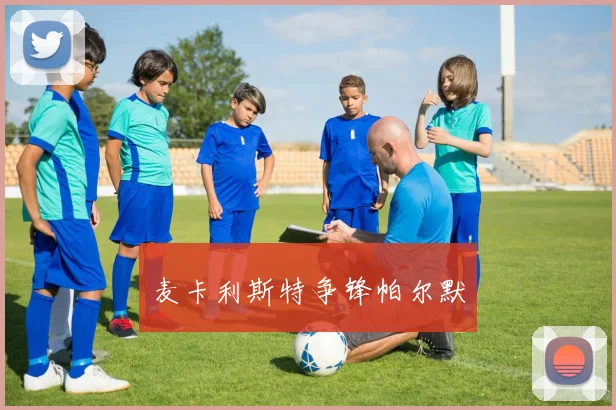 麦卡利斯特争锋帕尔默