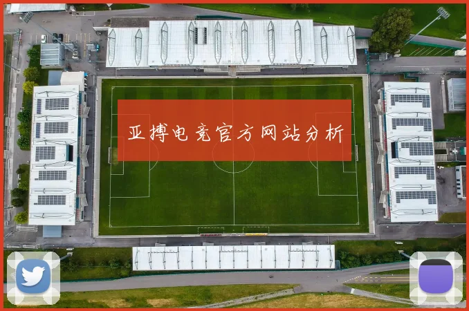 亚搏电竞官方网站分析
