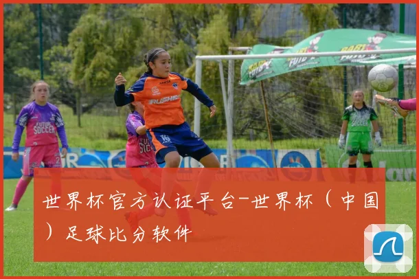 世界杯官方认证平台-世界杯（中国）足球比分软件