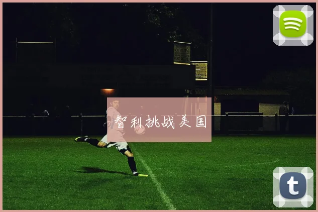智利挑战美国