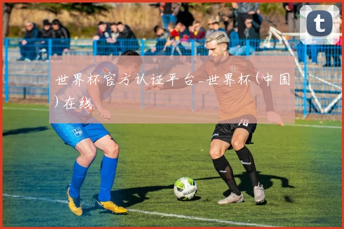 世界杯官方认证平台_世界杯(中国)在线