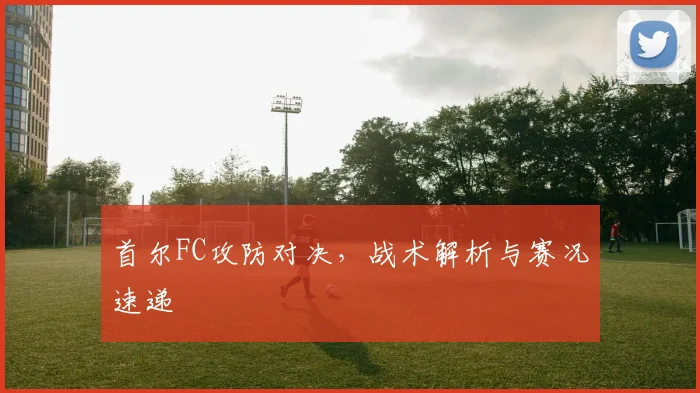 首尔FC攻防对决，战术解析与赛况速递