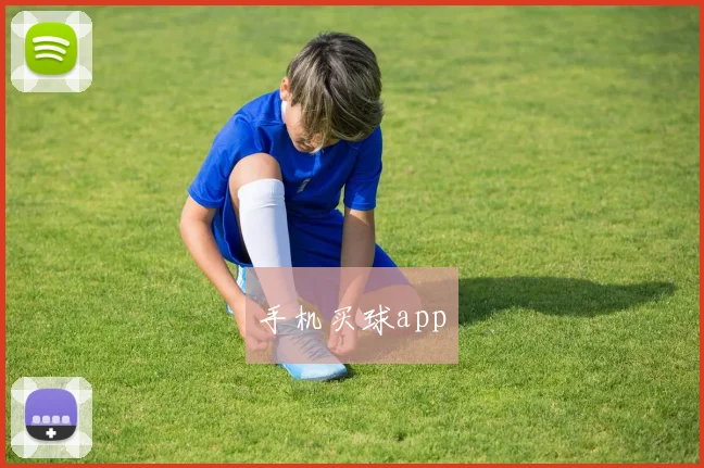 手机买球app