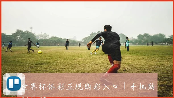 世界杯体彩正规购彩入口｜手机购彩教程