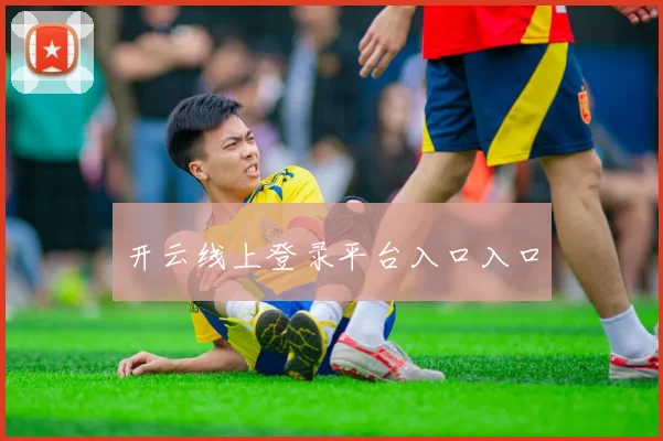 开云线上登录平台入口入口