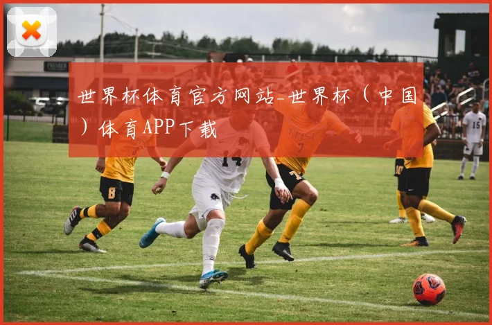 世界杯体育官方网站_世界杯（中国）体育APP下载