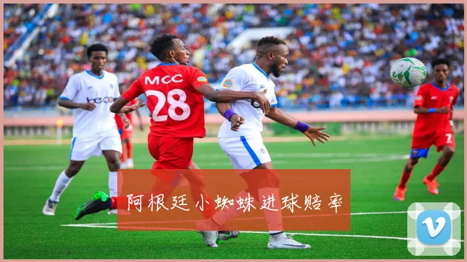 阿根廷小蜘蛛进球赔率