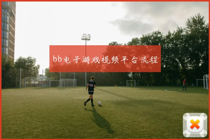 bb电子游戏视频平台流程