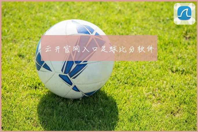 云开官网入口足球比分软件