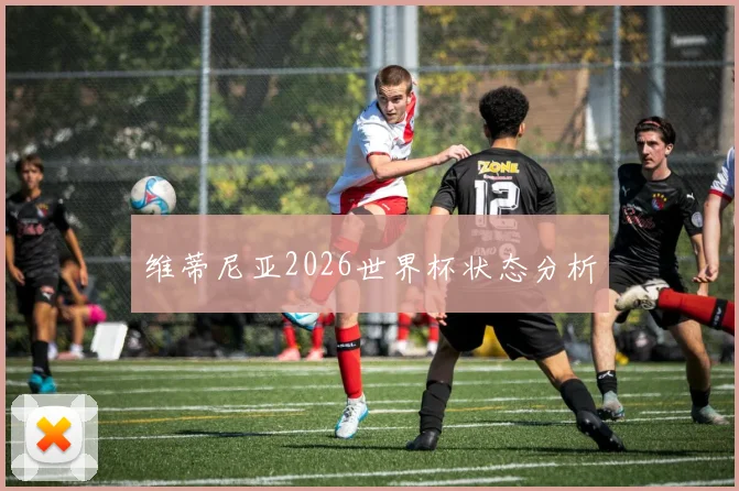 维蒂尼亚2026世界杯状态分析