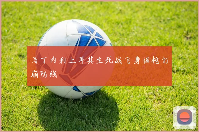 马丁内利土耳其生死战飞身堵枪打崩防线