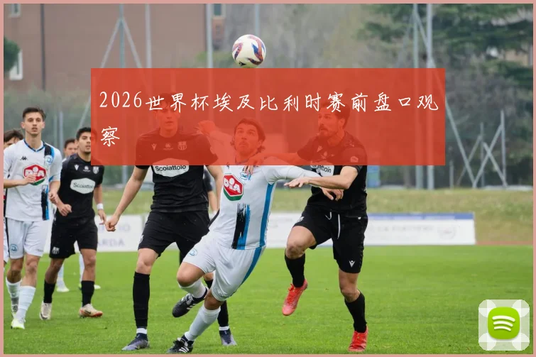 2026世界杯埃及比利时赛前盘口观察