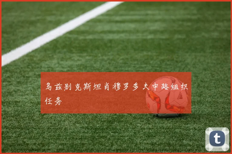 乌兹别克斯坦肖穆罗多夫中路组织任务