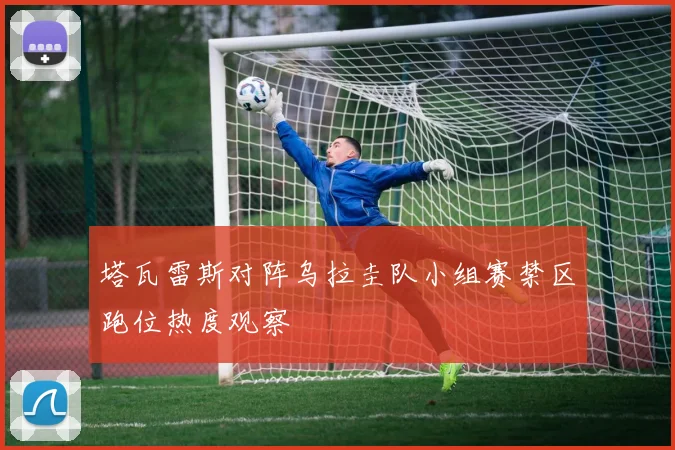 塔瓦雷斯对阵乌拉圭队小组赛禁区跑位热度观察
